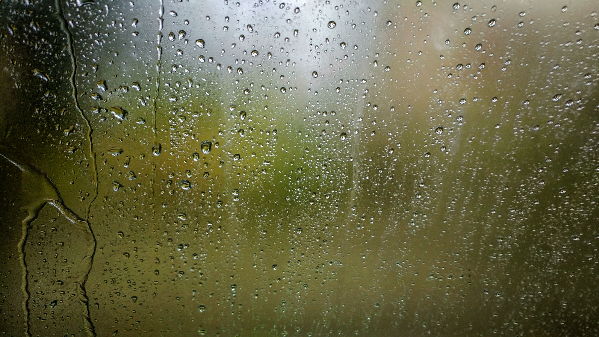 1009160838_HDR